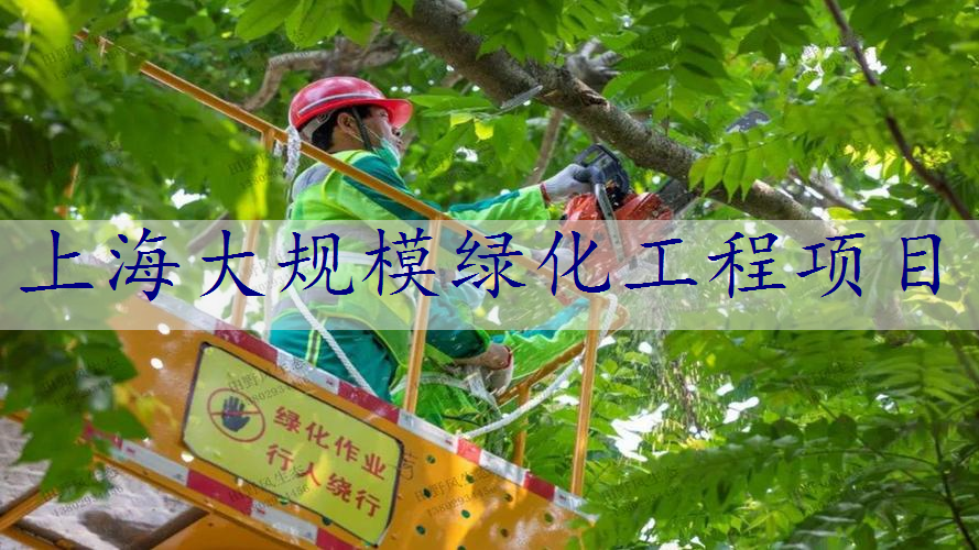 上海大规模绿化工程项目