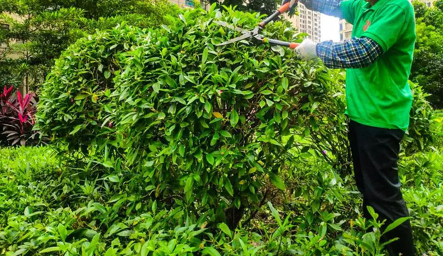 西安恒瑞园林绿化工程怎么样