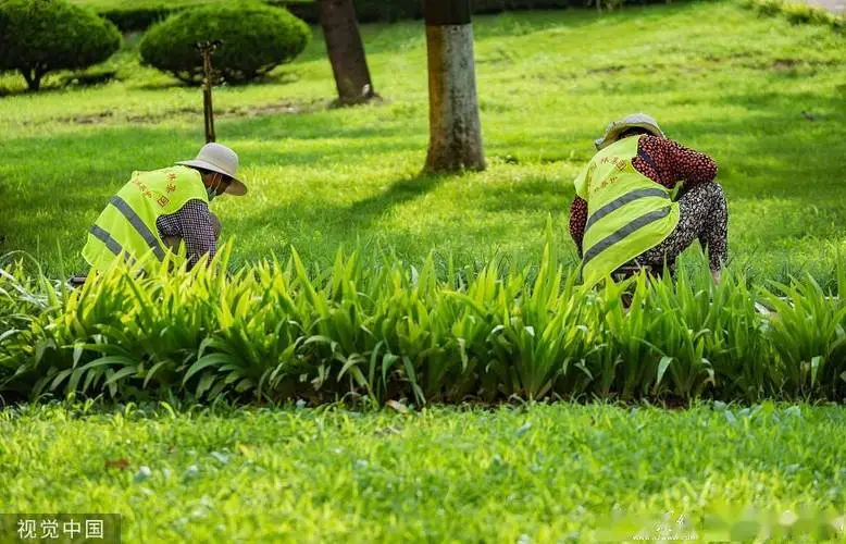 花园别墅园林景观设计