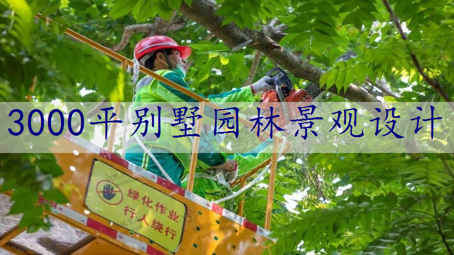 3000平别墅园林景观设计